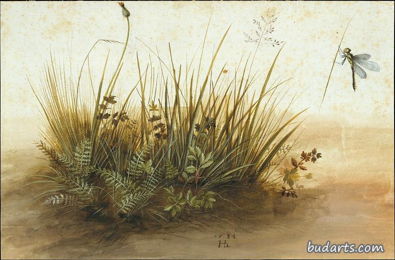 一小块草皮