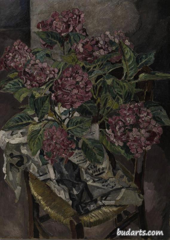 粉红绣球花静物画