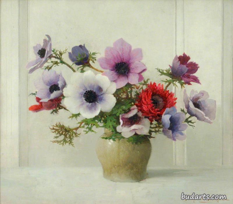 银莲花