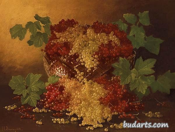葡萄干静物画