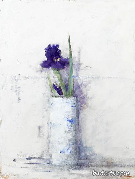 鸢尾花