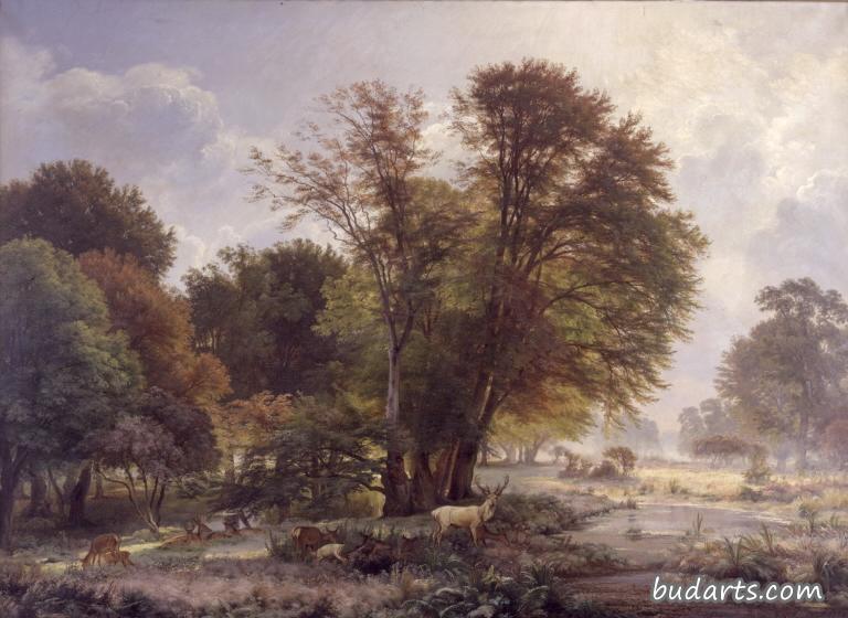 Autumn morning in Jægersborg Dyrehave