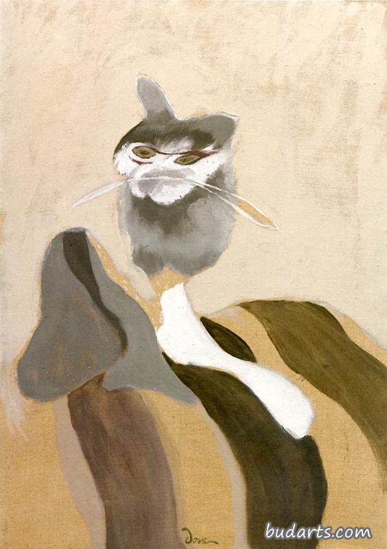 猫