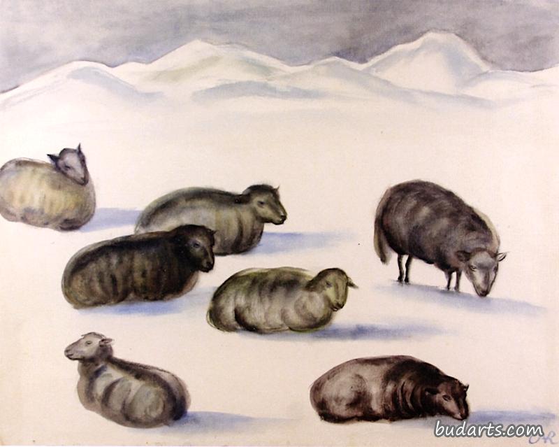 雪地里的羊