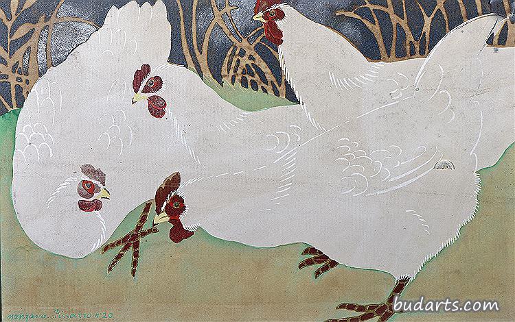白母鸡