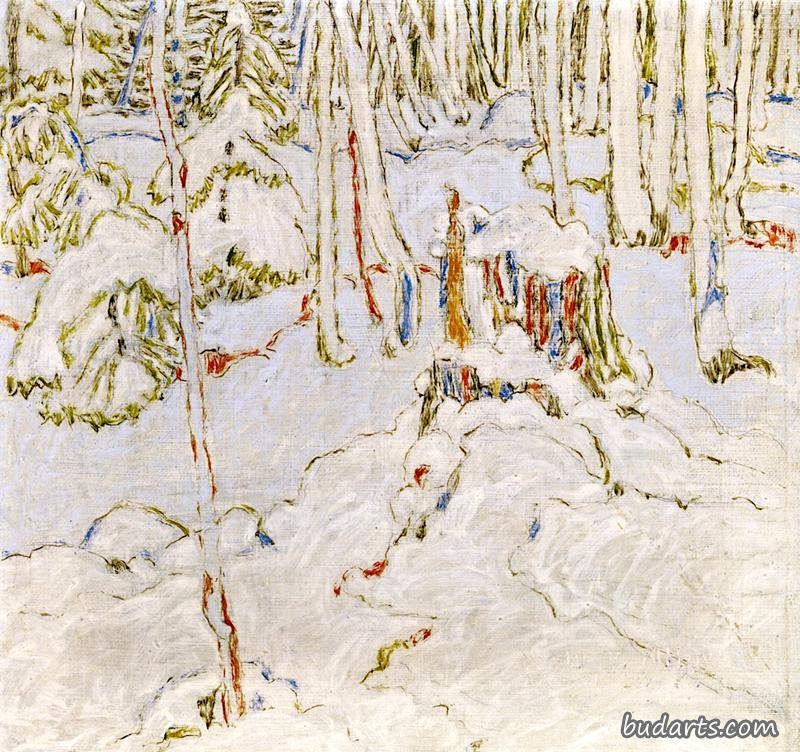 雪地铁杉