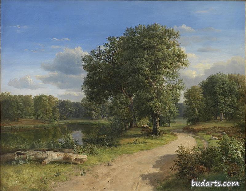 Landscape near Hammermøllen, North Zealand