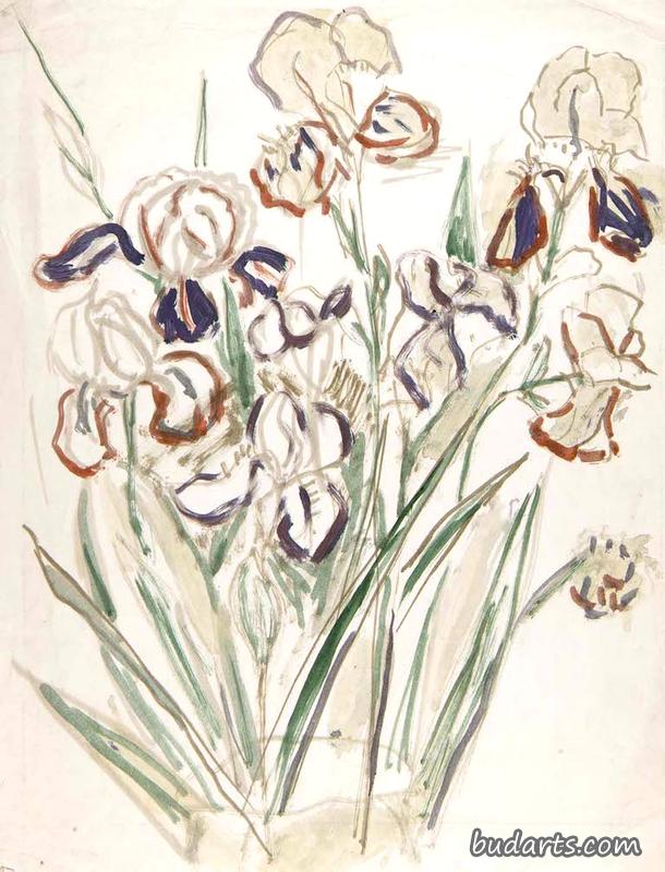 鸢尾花