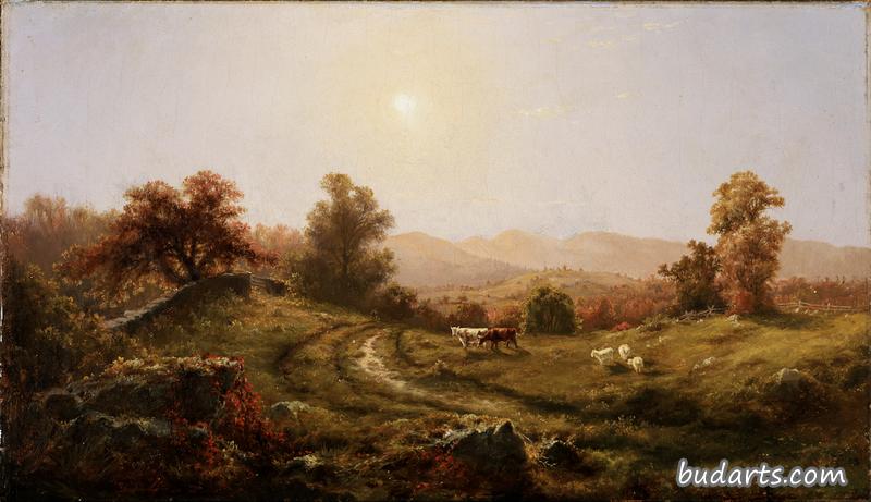 风景