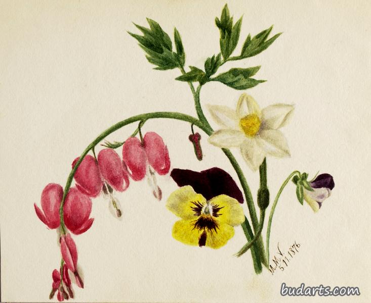 杂花