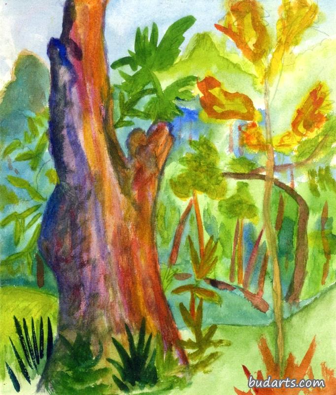 风景