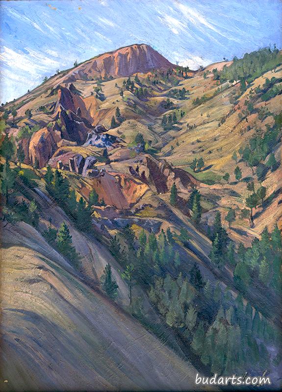 风景