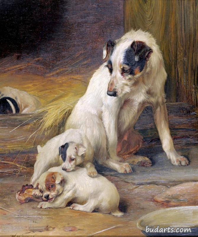 杰克·拉塞尔猎犬和她的幼崽在狗窝旁边
