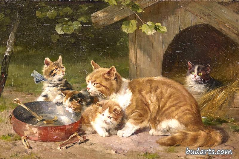 四只小猫的猫妈妈