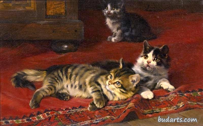 小猫