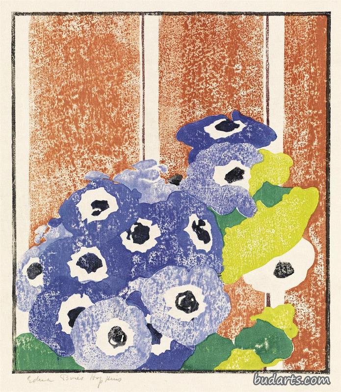 银莲花