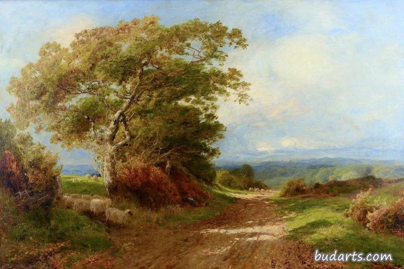 Ewhurst Hill, Surry