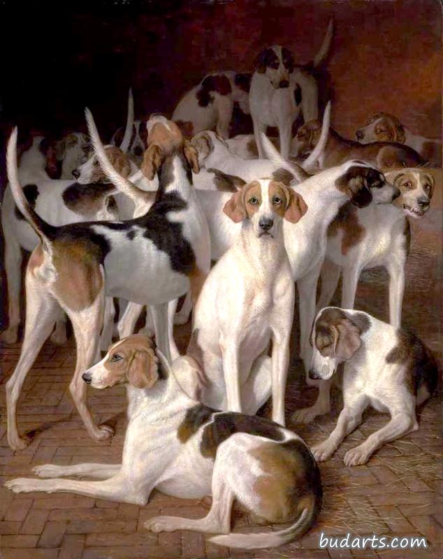 狗窝里的猎犬