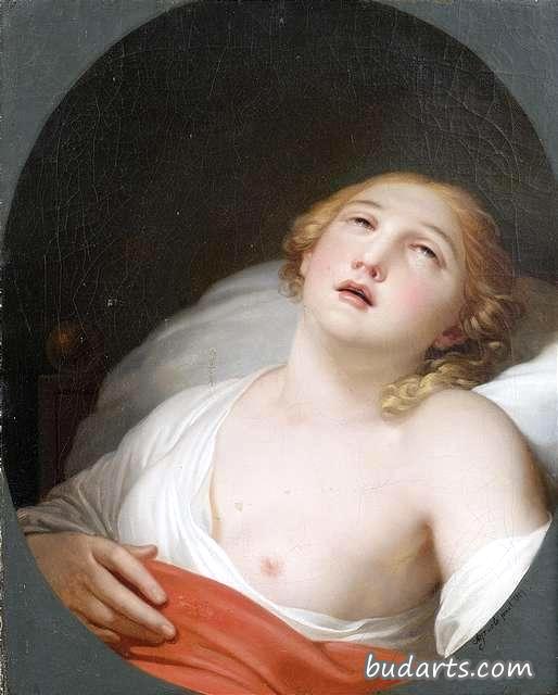 临终妇女的画像