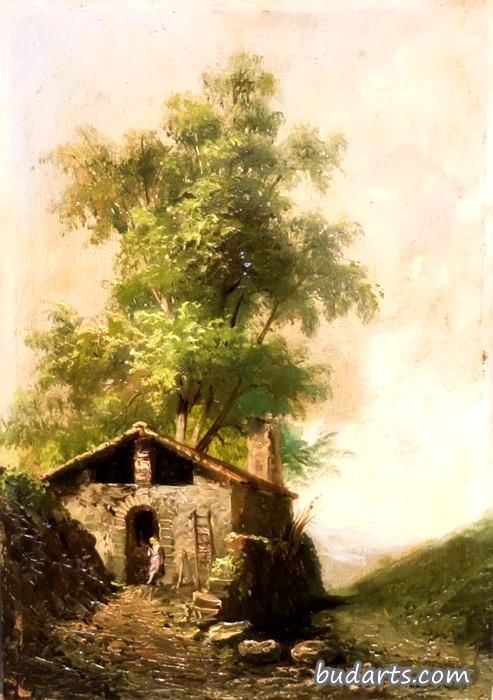 乡村景观