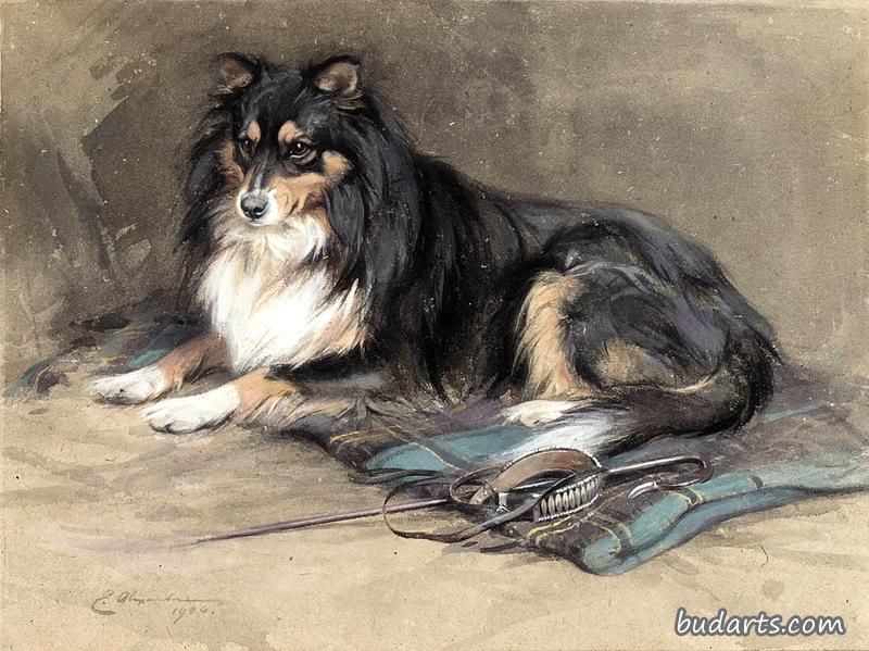 牧羊犬