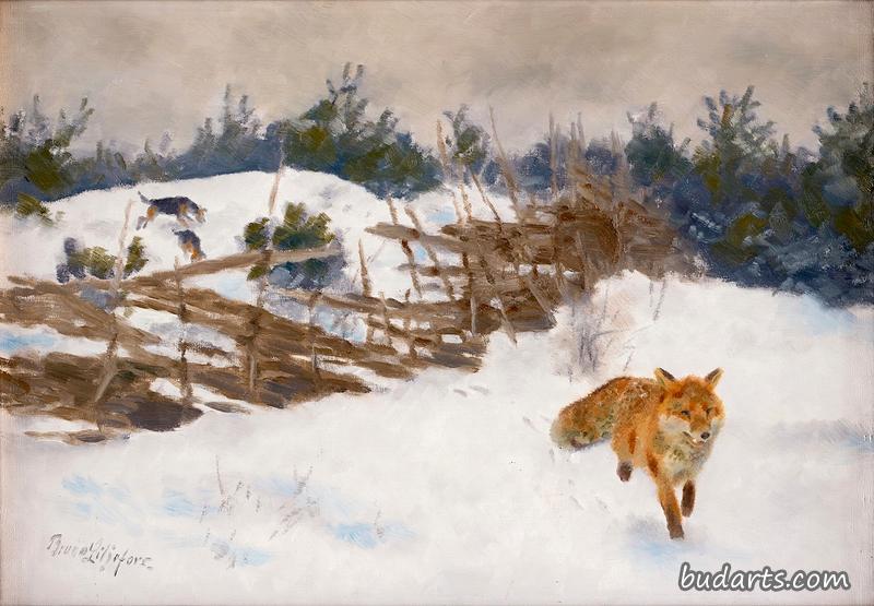 冬季狐狸和猎犬的场景