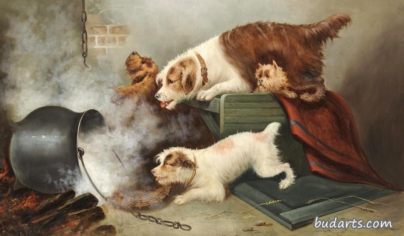 四只猎犬在里面,一壶热水从火上掉下来 四只猎犬在里面,一壶热水从火上掉下来