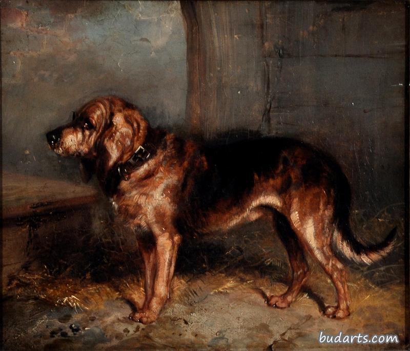 马厩里的猎犬画像