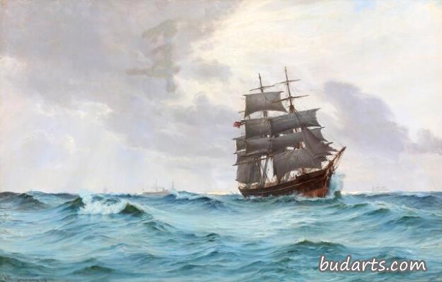在公海上有丹麦树皮的海鞘，背景是帆船和轮船