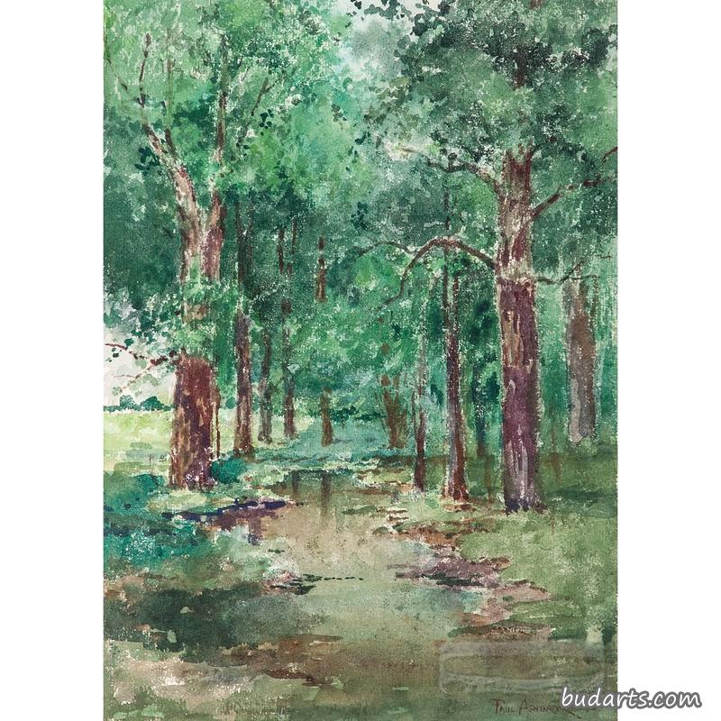 森林风景