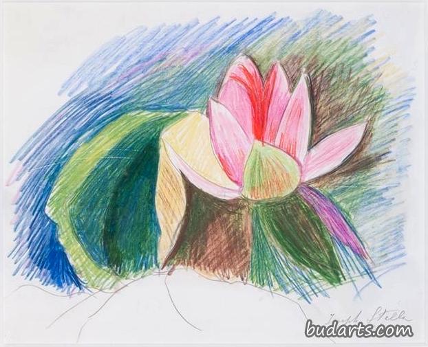蓝底粉红睡莲
