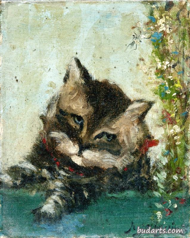 猫头