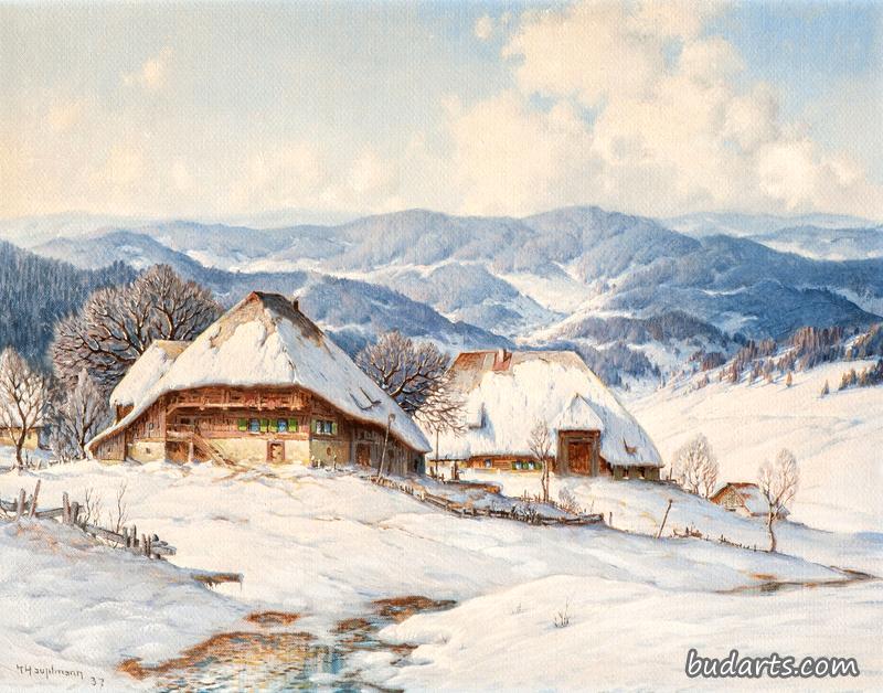 黑森林第一次融雪