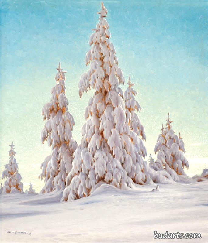 冰雪覆盖的冷杉冬季景观