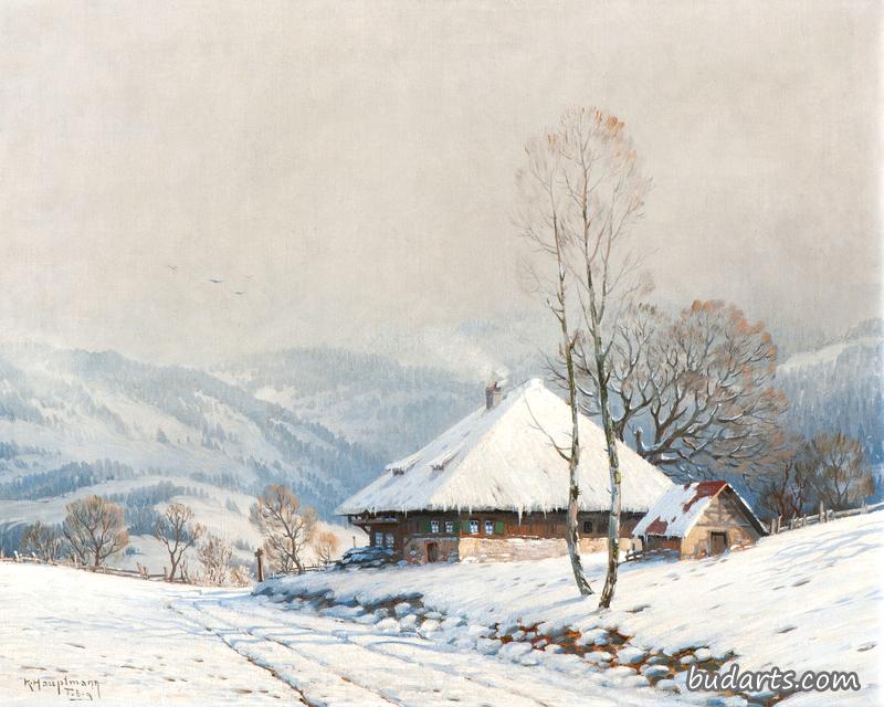 被大雪覆盖的黑森林小屋