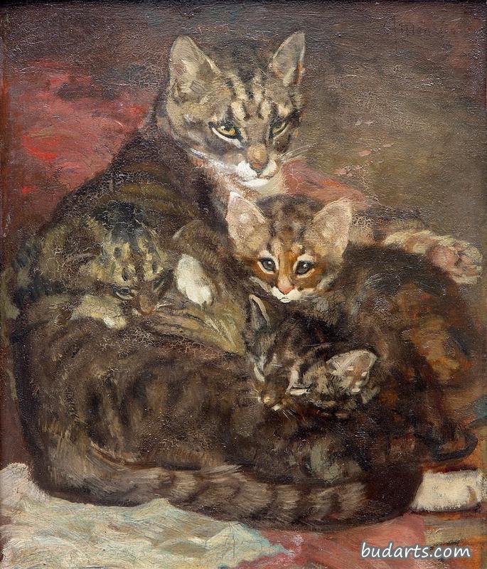 小猫妈妈