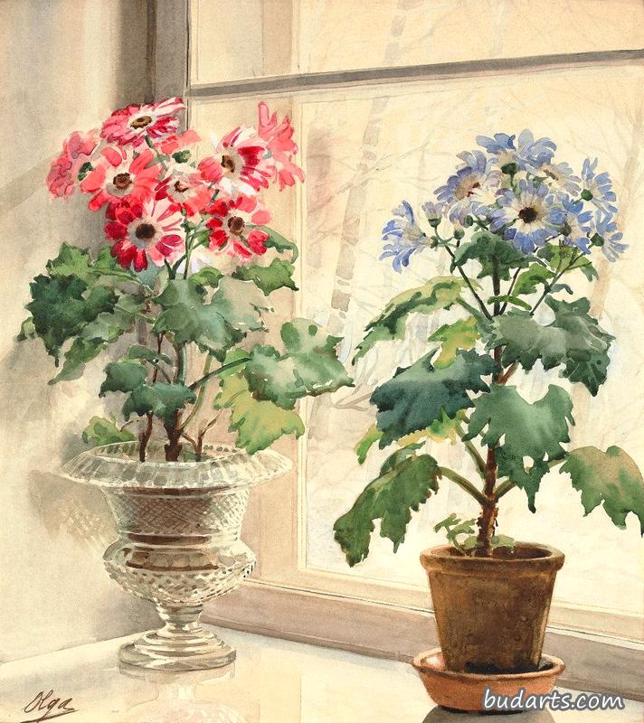 窗台上的花