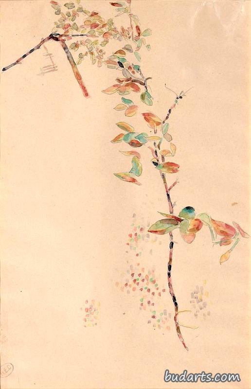 花枝