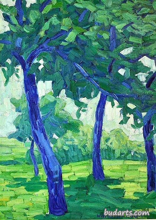 树木