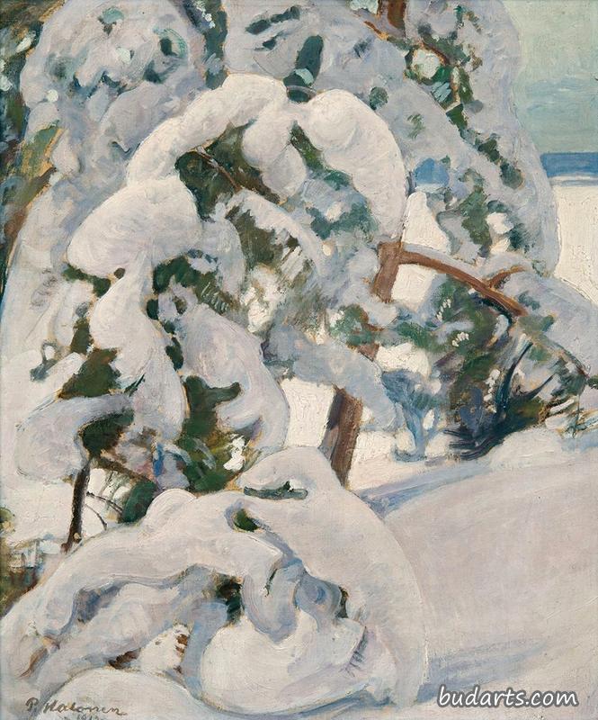 雪松