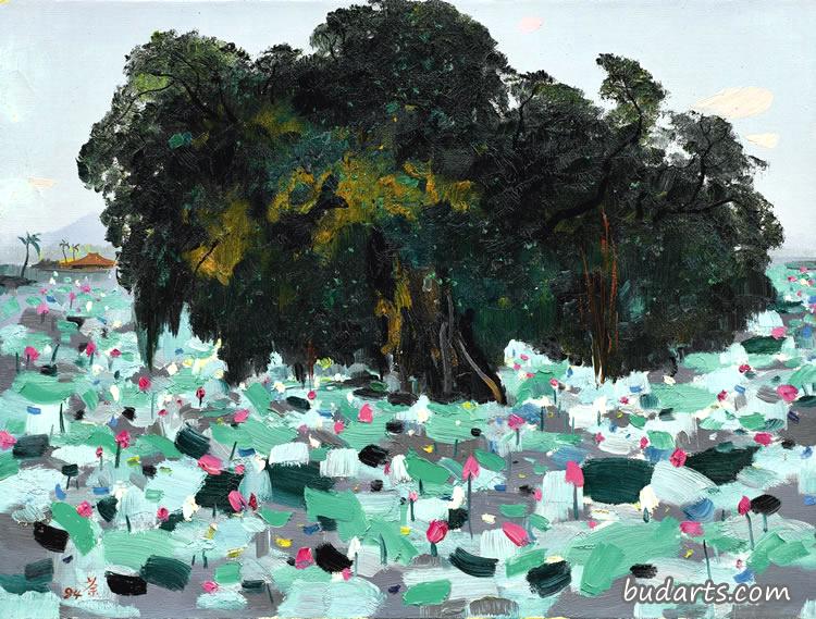 榕树和莲花