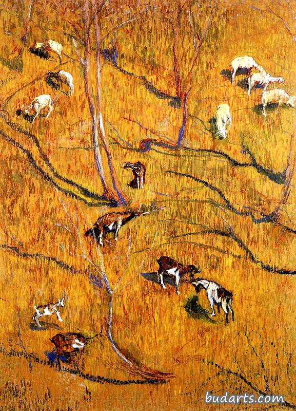 山羊阳坡
