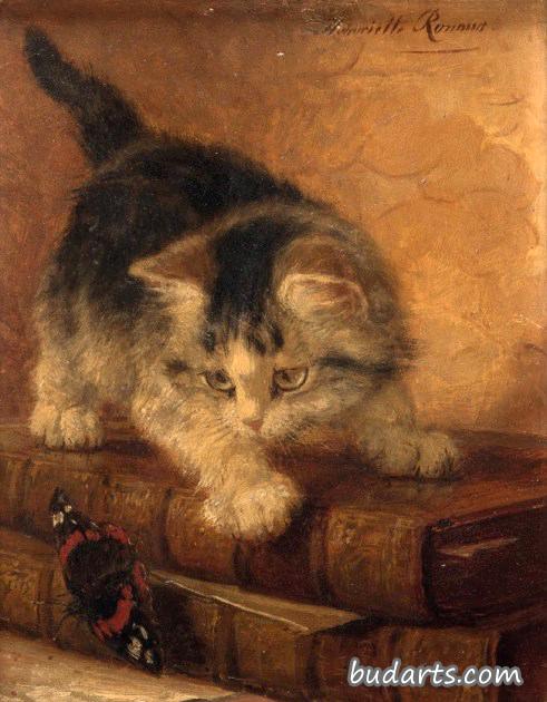 蝴蝶猫