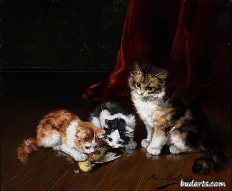 小猫