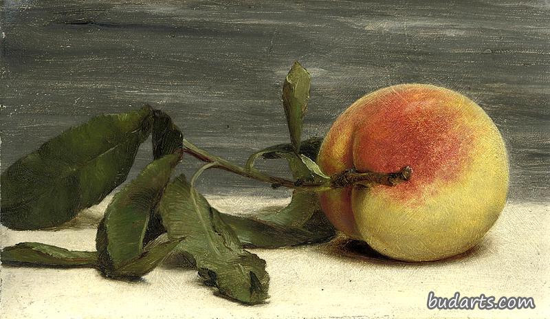 桃树嫩枝静物