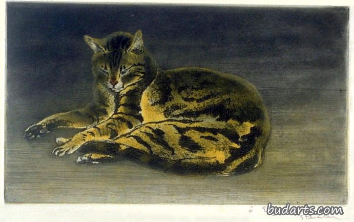 猫在地板上