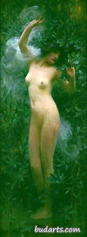 达芙妮