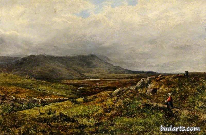 Near Moel Siabod