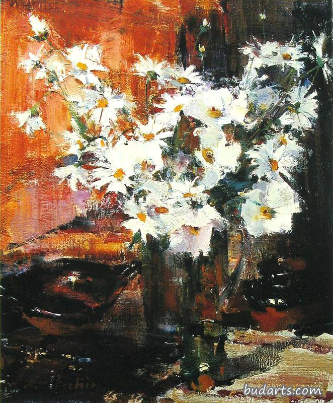 雏菊