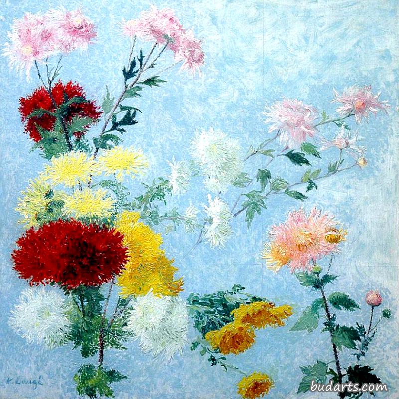 菊花期